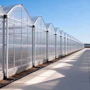 Serre en film multi-voûtes sur mesure pour la résistance aux tempêtes de sable du désert, avec structure en acier renforcé et protection anti-poussière - Product Image 1