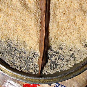 2024 New Superior High Quality Basmati <b>Rice</b> 5% Broken Long Grain Fully Flavored for Cooking Direct Export Ready - Product Image 5