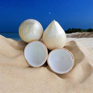 Exportaciones vietnamitas de coco seco - Product Image 2