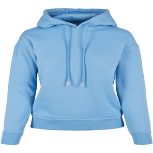 2026 femmes décontracté bleu ciel à capuche pull sweat à manches longues vêtements chauds avec livraison directe 100% coton pour l'hiver - Product Image 1