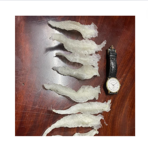 TRUCAS DE PESCADO SECO FAVORITA DE ASIA PARA SOPA DE MARISCOS SALUDABLES RICA EN PESCADO SECO NUTRITIVO A LA VENTA AL MEJOR PRECIO DIRECTO DE FÁBRICA - Product Image 3