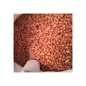 Red Skin Peanuts / Blanched Peanut Kernels / Roasted and Salted Redskin Peanuts