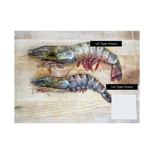 Camarones Vannamei congelados de alta calidad ofrecidos a bajo precio para distribución mayorista de mariscos - Product Image 4