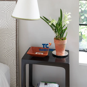 Bandeja de laca hecha a mano de Vietnam decorativa y funcional para servir alimentos y bebidas Precio - Product Image 2