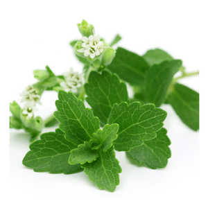 Feuille de Stevia écologique du Vietnam, feuille de Stevia chic pour la cuisson sucrée, feuille de Stevia naturelle dans le thé, simple pour la cuisine à la mode - Product Image 1