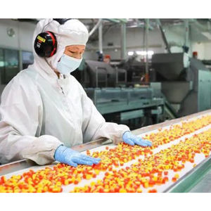 <b>Large</b> Capacity Multiple Soft Jelly Candy Starchless Gummy Line Pectin Gelatin Vitamins Gummy Forming Machine Make Equipment - Product Image 4