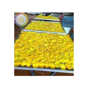 MANGUE SÉCHÉE EN VRAC NATUREL 100% FRUIT SNACK TOP NOUVEAU AVEC DÉLICIEUX SUPER ET QUALITÉ FABRIQUÉ AU VIETNAM - Product Image 2
