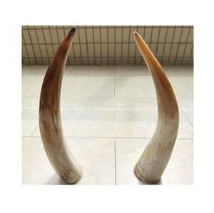 Nuevo diseño tallado más vendido de cuerno vikingo para beber con logotipo comida auténtica segura sin fugas cerveza vikinga nórdica para beber cuerno - Product Image 1