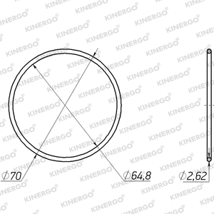 Anillo de Sellado ORZF07 para ORZF07 6HP26, 255 mm - Product Image 2