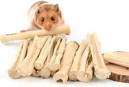 Dried Sugarcane Stick