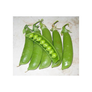 Dosettes de pois surgelées à bas prix traitées et emballées avec la technologie IQF - Product Image 5