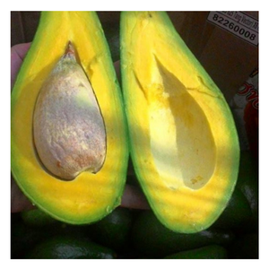 Avocat congelé de haute qualité du Vietnam-Préparé pour les applications de l'industrie alimentaire et l'exportation à grande échelle-Avocat de vente à chaud - Product Image 2