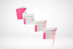 Dépliant gros costume professionnel couleur plastique pas cher petite brochure - Product Image 6