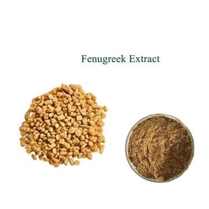 مصنع بيع بالجملة حار بيع بذور الحلبة الطبيعية مسحوق خلاصة الحلبة - Product Image 4