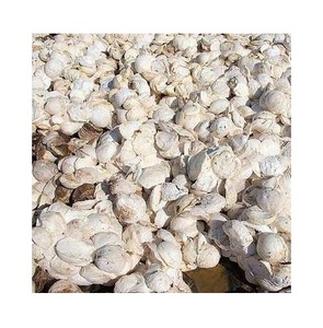 ยางธรรมชาติคุณภาพสูง เกรดพรีเมียม แบบก้อน ความหนาแน่น 72% สำหรับขาย - Product Image 2