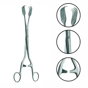 Billroth Tumor Forceps 4x4 Prongs Abrazaderas Acero inoxidable Grado médico Buena calidad Venta al por mayor Instrumentos de ginecología Herramienta de mano