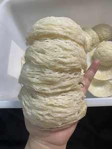 Bulk Packed Raw Bird Nest | Vietnam Manufacturer Supply - Product Image 6