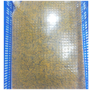 เสาวรสแช่แข็งทั้งเปลือกและพร้อมสำหรับการแปรรูปค็อกเทลและไอศกรีมจากโรงงานเวียดนาม - Product Image 2