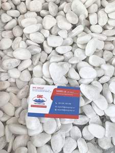 Pierres de galets blanches comme neige de haute qualité améliorent l'aménagement paysager et l'artisanat - Product Image 3