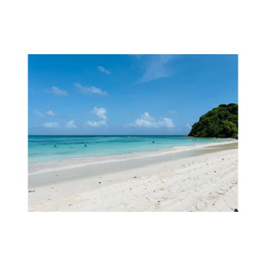 À des prix compétitifs pour les grosses commandes Obtenez Beech Long à des fins d'artisanat et de construction disponibles à la vente à un prix abordable - Product Image 4