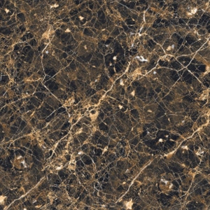 Trouvez les principaux fabricants de carreaux de porcelaine 60x60cm en Inde offrant des designs haut de gamme pour chaque projet carreaux d'aspect moderne - Product Image 6