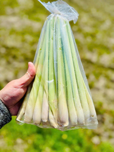 Direct Export of High-Quality Frozen Lemongrass Best Price and Top Service for Food Processing - Product Image 3