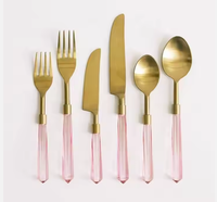 Schönes neues Design Besteckset mit Acryl griff