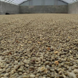 Granos de Café Arábica Tostados Baratos, Mezcla Personalizada de Marca Privada en Venta - Product Image 1