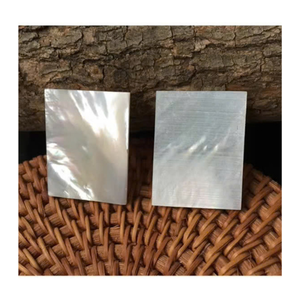 Fourniture en vrac d'usine de puces de coquille d'ormeau naturel pour l'incrustation et la décoration d'artisanat de bijoux - Product Image 2