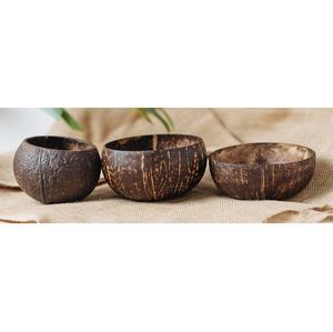 Tazón Ecológico de Cáscara de Coco Tallado a Mano, Desechable, para Camping, Uso Doméstico, Apto para Lavavajillas - Product Image 1
