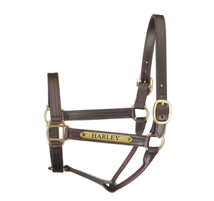 Halter d'exposition de style piste en cuir de qualité supérieure avec plaque pliante - Product Image 1