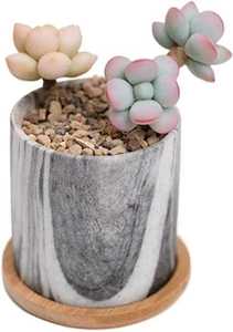 MACETAS FLORES - Product Image 5