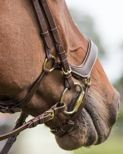 บังเหียนหนังแท้บังเหียนม้าอุปกรณ์เสริมหนังแท้ส่วนบุคคล - Product Image 3