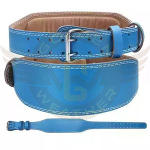 Cinturón de levantamiento de pesas Unisex, cinturón de levantamiento de pesas para gimnasio, soporte de espalda, fabricante dorado, novedad de 2022, venta al por mayor - Product Image 1