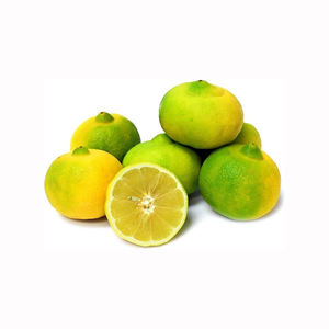 Limón Fresco Dulce, Fruta Cítrica de Primera Calidad, Cosecha de Granja, Venta al por Mayor a Granel, Exportación, Suministro Natural y Jugoso - Product Image 1
