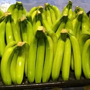 กล้วยสดคาวเวนดิชพรีเมียม - เกรด I สำหรับส่งออกจำนวนมาก - Product Image 4