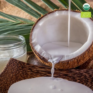 High-Quality Organic Canned Coconut <b>Milk</b> (Creamy & Cost-Effective Bulk Supply) - Product Image 1