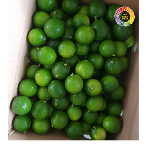 Lima fresca para jugo, Lima sin semillas de primera calidad, Lima verde fresca sin semillas para exportación, Lima sin semillas fresca natural - Product Image 6