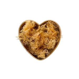 Meilleure vente Golden Sea Moss du Vietnam Oem Packing 2024 - Product Image 4