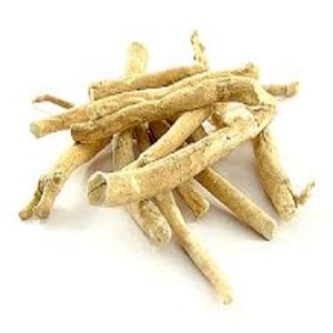 Polvo de extracto de raíz de Ashwagandha 100% puro al por mayor (Withania Somnifera) tambor de hierbas de alimentos orgánicos/a granel/puede comprar en línea India - Product Image 1