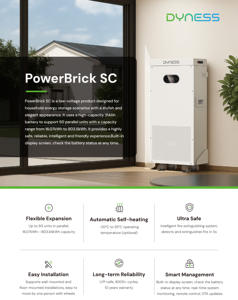 Batteria Dyness Powerbrick 16kWh 51.2V 280AH 314AH LiFePO4, 8000 Cicli Profondi, per Accumulo Energetico Domestico, Stock UE - Product Image 2