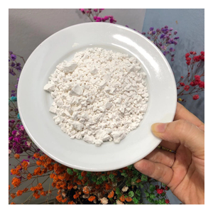 Poudre finement traitée d'arrow-root du Vietnam avec la couleur blanche pure, disponible en vrac pour l'exportation et les commandes en gros - Product Image 5