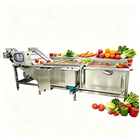 Commerciële automatische kleine groentewasmachine voor wortelen, cassave, fruit en het reinigen en schillen ervan.