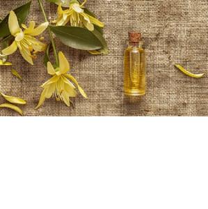Aceite Esencial de Ylang, Proveedor Mayorista con Excelente Calidad, Cananga Odorata, Exportadores de Aceite en India - Product Image 1