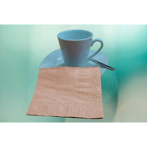 Servilletas Eco Nature con Borde Repujado de 20x20cm, Eco Nature, 100 Unidades, 60 Paquetes, B2B - Product Image 1