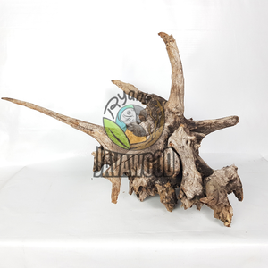 Madera Flotante Natural de Primera Calidad para Acuarios y Bonsáis, Hecha de Madera Sostenible de Indonesia - Product Image 3