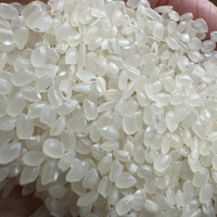 Vente en gros Japonica Sushi Riz Riz japonais au Vietnam Egyptian Rice Arroz Japonica Riz par M. David (+ 84986778999)