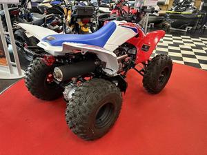 Offre Annuelle 2025 – Nouvelles Motos Honda TRX250X (Jeunesse) - Product Image 4