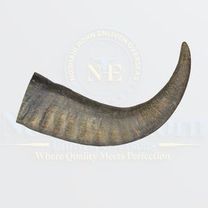 100% hữu cơ trâu sừng chó nhai hoàn hảo cho mọc răng con chó con và mạnh mẽ Hàm chó trưởng thành - Product Image 5