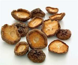 AUTHENTIQUES CHAMPIGNONS SHIITAKE/PUREMENT BIO/SÉLECTIONNÉS À LA MAIN/CULTIVÉS AU VIETNAM - Product Image 1